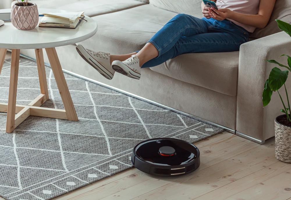 robot vacuum cleaner carpet
